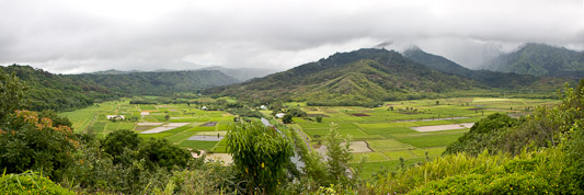 Hanalei Valley