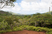 Maunawilli Trail