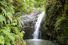 Maunawilli Falls