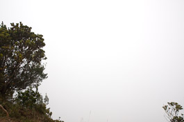 Kalalau Valley im Nebel