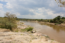 Mara Fluss