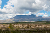 Mt. Tongariro