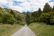 Whanganui River Road
